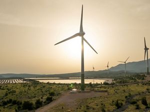 Scaling Conservation Insights