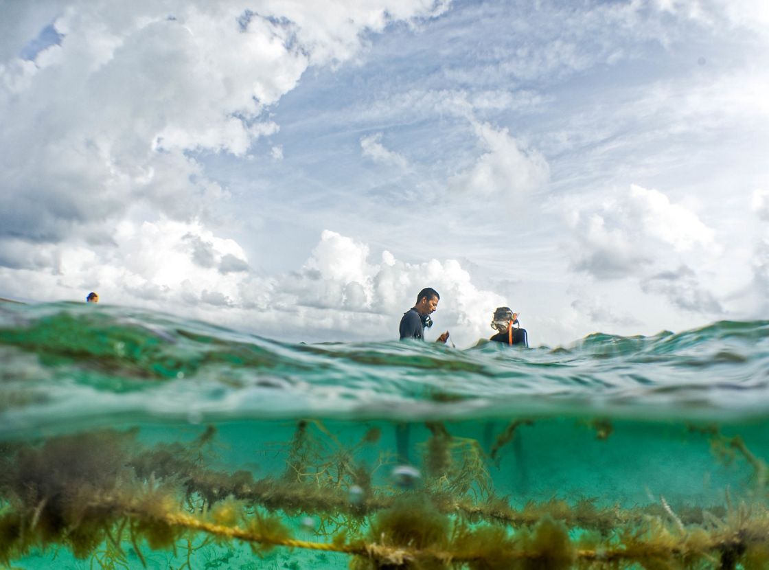 Climate goal image 1