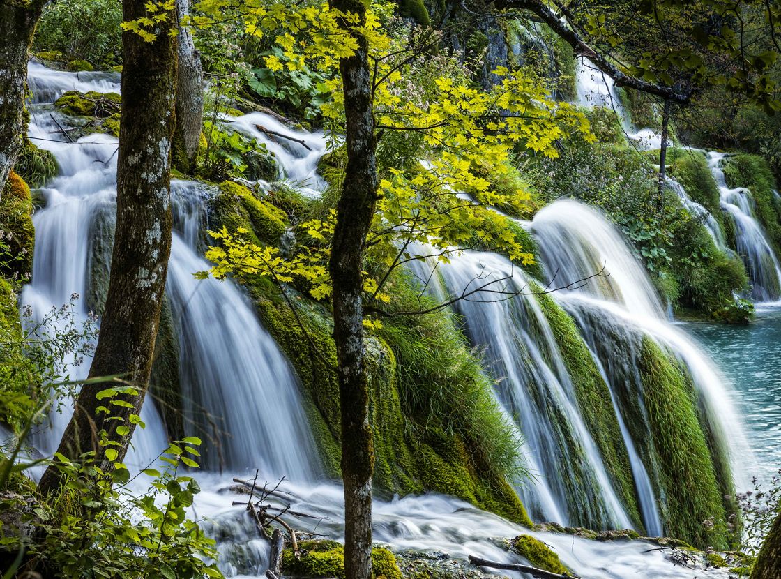 Climate goal image 2