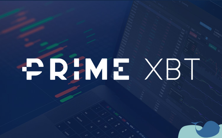 Explore the Future of Trading with PrimeXBT App 8